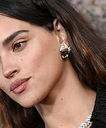 Filename=008.jpg
Filesize=923KiB
Dimensions=4115x2743
Date added=09.07.25 008.jpg